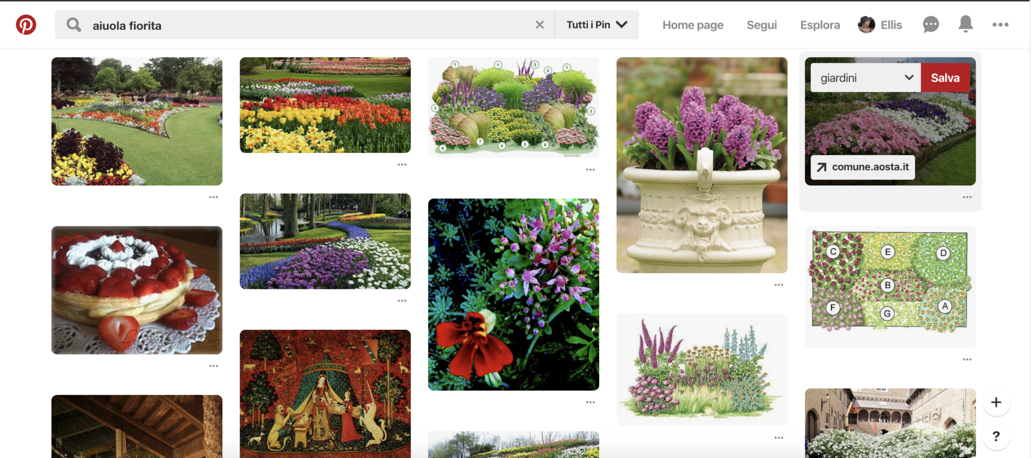 idee su pinterest - aiuole fiorite