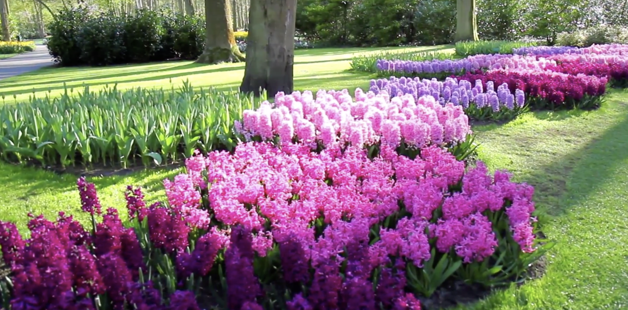 giardino a maggio