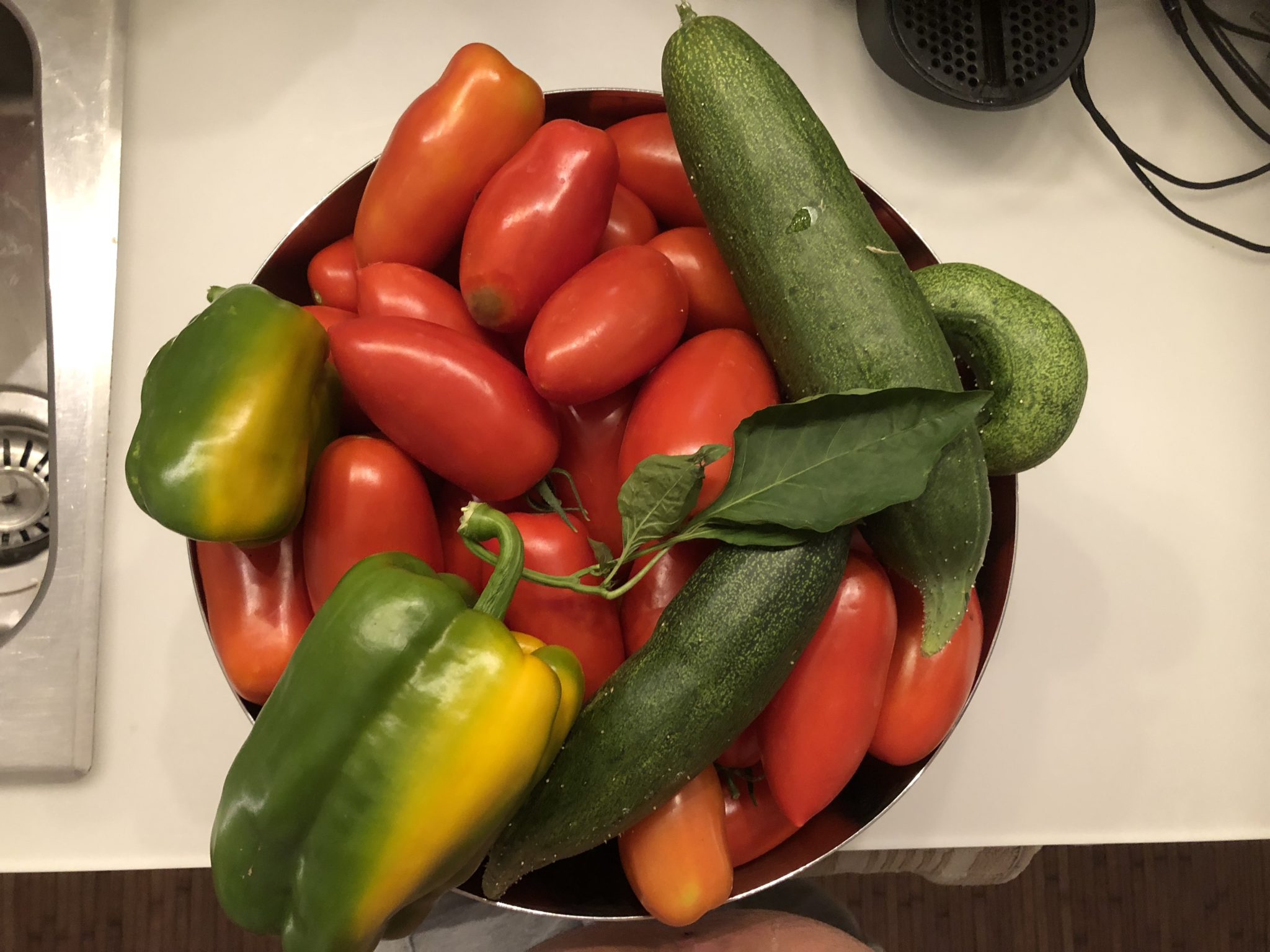 l'orto a luglio - la verdura in tavola