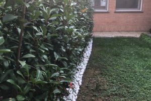 siepi a barriera