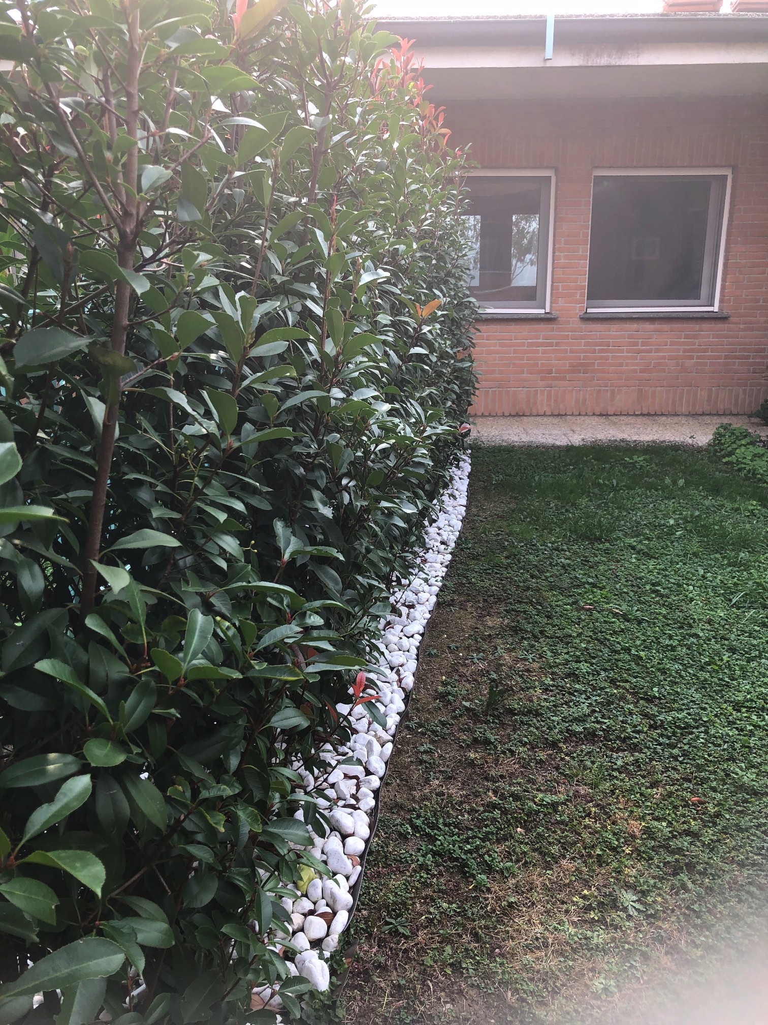 siepi a barriera