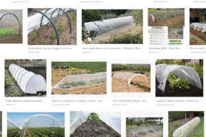 pagina di ricerca di google con diversi esempi di tunnel per orto